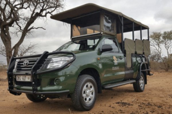 From Cockpit to Kruger: Your 3-Day Safari Weekend Itinerary